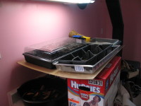 Seed Station side view