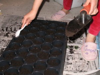 Tiffany doing the scooping