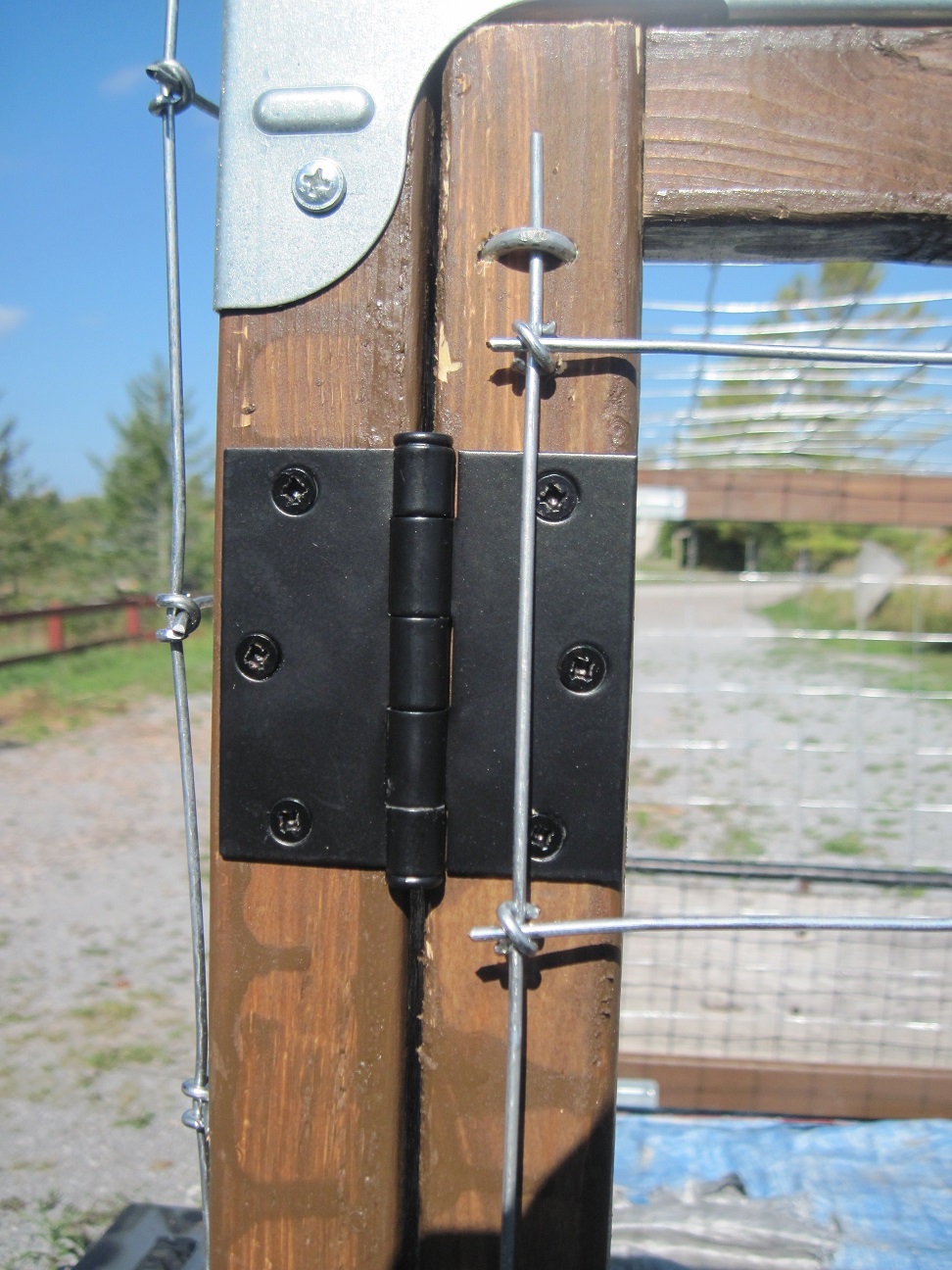 Door Hinge
